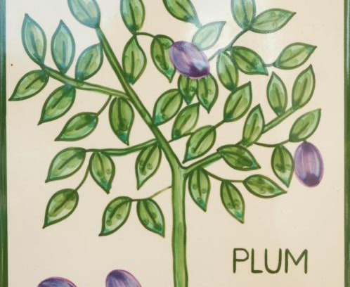 Funchal Apartamento | Casa Monte Cristo Apartments - Plum