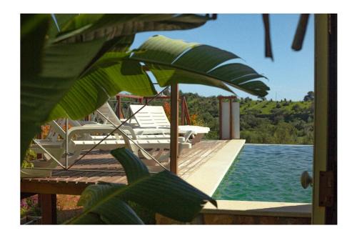 Boliqueime Casa | Casa Monte das Medronheiras