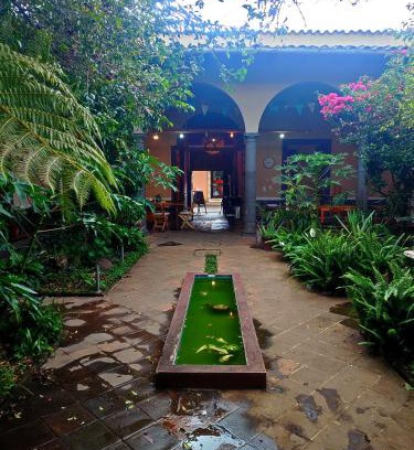 Coatepec Casa | Casa Morfo Cultura