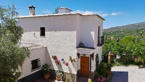 Nechite Casa | Casa Número 4