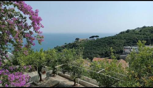Benincasa Cama Y Desayuno | Casa Nina' tradicional Amalfi Coast Villa Retreat