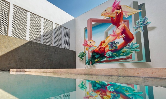 Centro de Querétaro Hotel | Casa Oxa Hotel