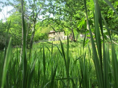 Castiglione di Garfagnana Casa | Casa Paladini