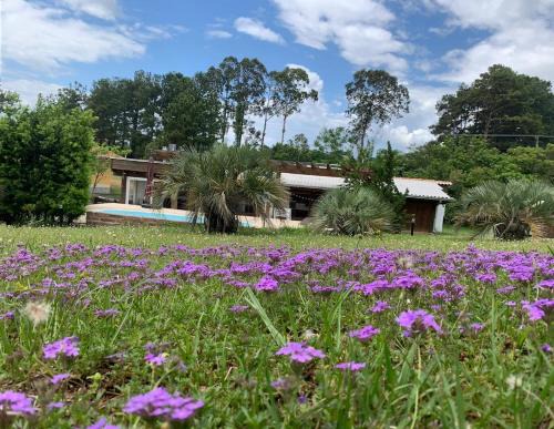 Osorio Casa | Casa Pamital Osório