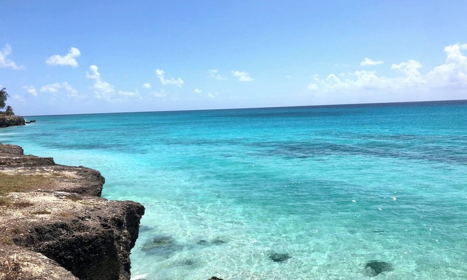Enterprise Condominio | Casa pachulí una pequeña joya 5 minutos a brisa de la playa de Miami