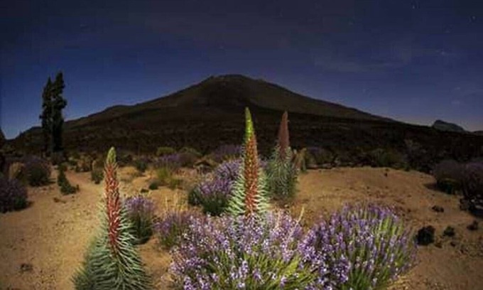 El Tanque Cabaña | "CASA PAUCA" con magníficas vistas al Teide