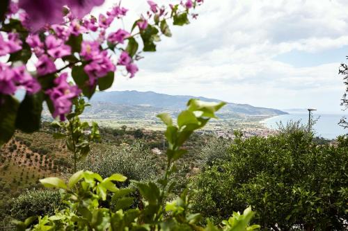 Casal Velino Apartamento | Casa Pendio Cilento