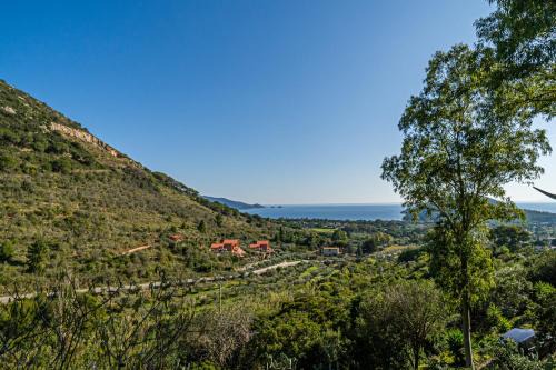 Lacona Apartamento | Casa Pucci