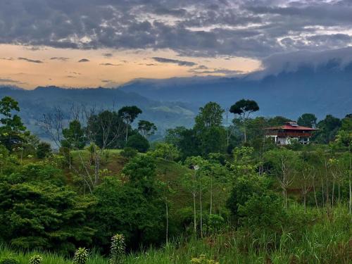 Dominical Hotel | Casa Quetzal: Jungle Retreat