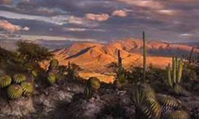 Santa María Tecomavaca Casa | Casa Rustica Reserva Biosfera Tehuacan Cuicatlan
