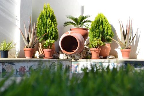 Fuenlabrada de los Montes Casa | Casa Rural La Madroña