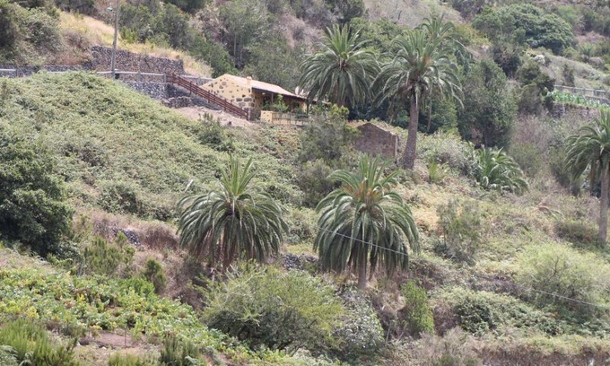 Agulo Casa | Casa Rural El Rincón de Antonia