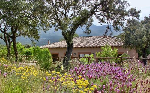 Los Navalucillos Casa | Casa Rural La Joyona