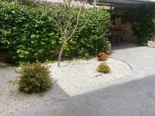 Sacedón Apartamento | Casa Rural La Labranza