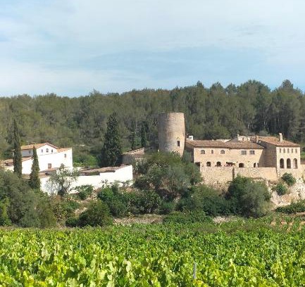 Avinyonet del Penedés Casa | Casa rural La Torre