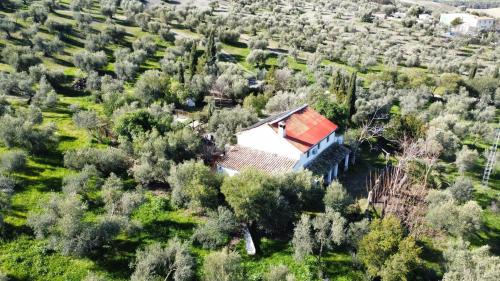 Pruna Casa | Casa Rural Privada Belén