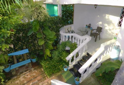 Mamatoco Cama Y Desayuno | Casa San Sebastian