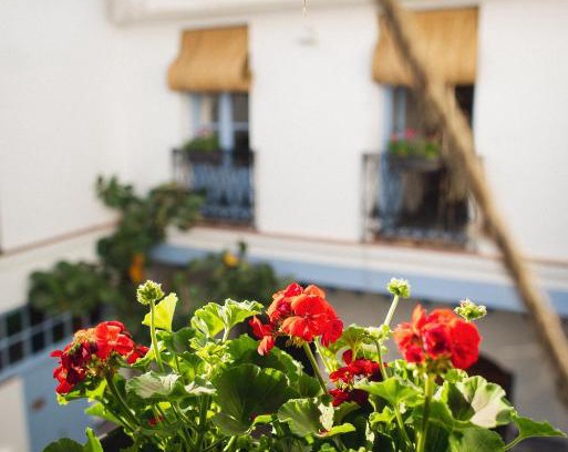 San Francisco-Ribera Apartamento | CASA SIRFANTAS