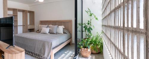 Santa Teresita Apartamento | Casa Teresa by Barrio México
