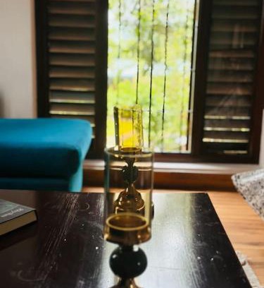 Peliyagoda Casa | Casa Theo