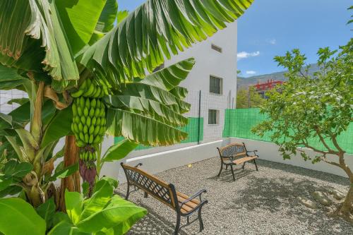 Guimar Casa | Casa Tina