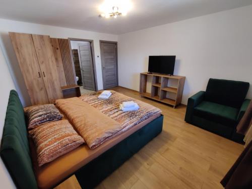 Toplita Apartamento | Casa Toplita