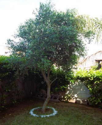 Pulsano Casa | Casa Ulivo