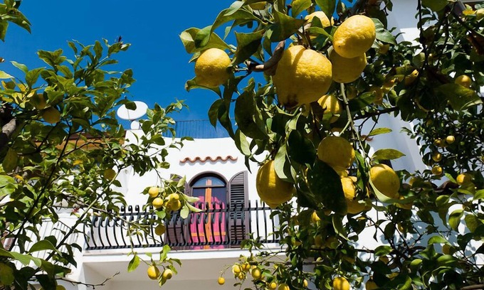 Sperlonga Apartamento | Casa Vacanza La Limonaia