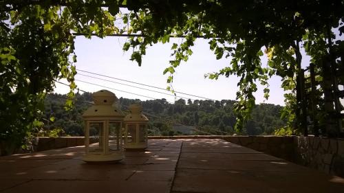 Vico del Gargano Cabina | CASA VACANZE " da Giu' "