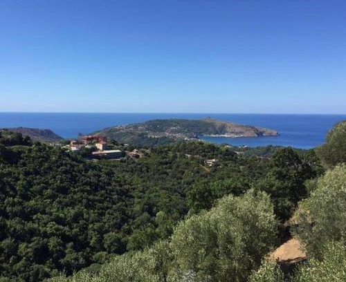 Centola Casa | Casa Vacanze Domus
