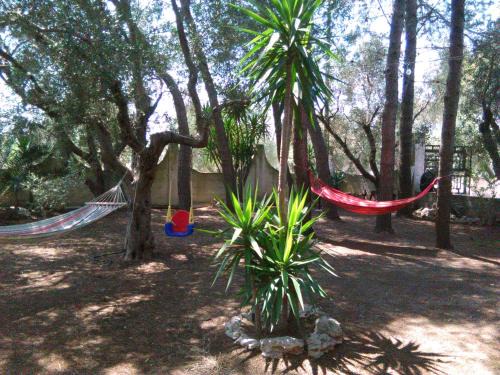 Matino Casa | Casa Vacanze La Pineta