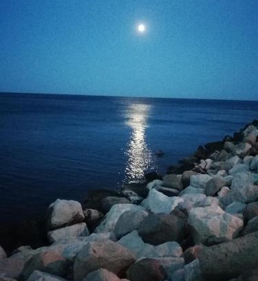 Lido degli Scacchi Casa | CASA VACANZE MARE