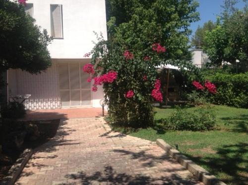 Fontanelle Casa | Casa Vacanze Turchese