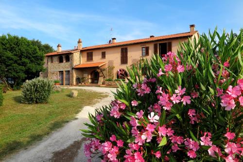 Suvereto Apartamento | Casa Vacanze Valdicciola