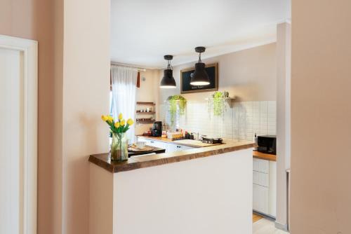 Ercolano Apartamento | Casa vacanze VesuviusView