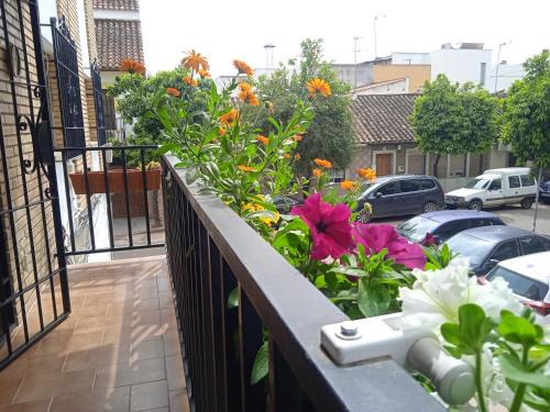 Córdoba Apartamento | Casa Violeta