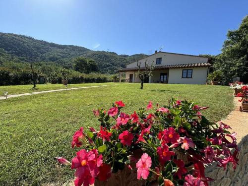 Santa Maria del Giudice Villa | Casa Viviani