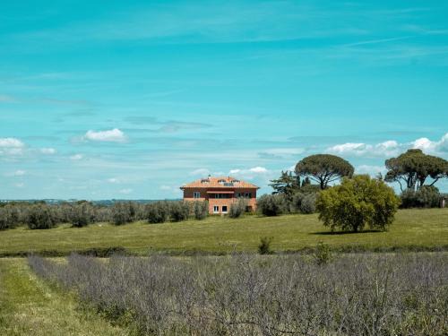 Vetralla Casa | Casa YUVI