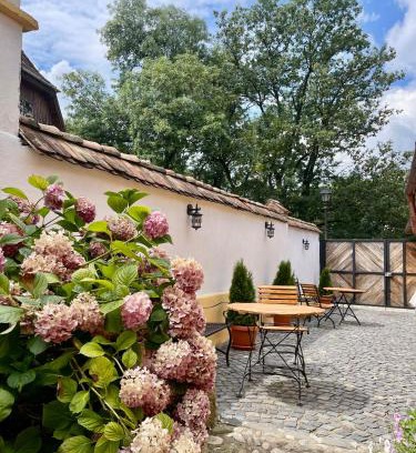 Sighisoara Casa | Casa Zatler 1#
