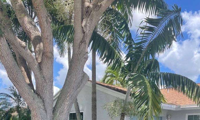 Davie Casa | CasaIris-West Broward Bright&Sunny Home w/ pool