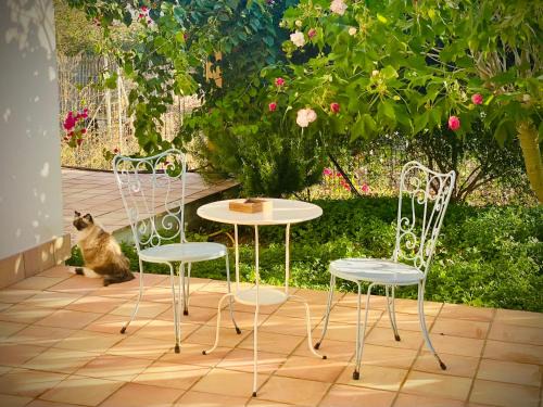 Trapani Cama Y Desayuno | Casale Laurus