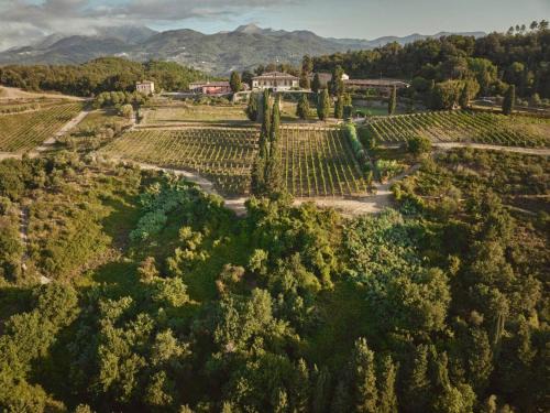 Villabuona Casa | Casale Toscano a Lucca