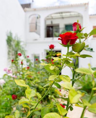 Orba Casa | Casas De Les Roses
