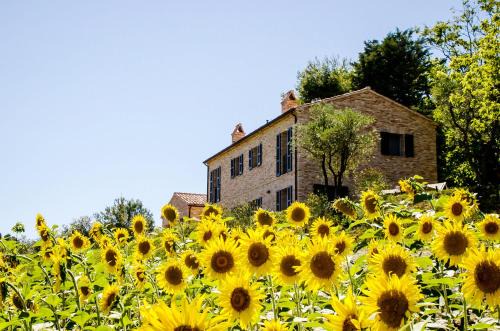 Ostra Vetere Cama Y Desayuno | CasaVostra - Ambience Suites
