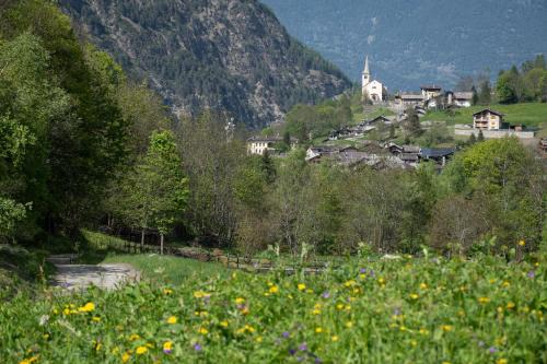 Coveyrand-Vieu Apartamento | Case Gran Paradiso Rhemes Saint Georges