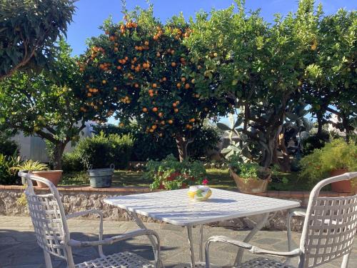 Anacapri Cama Y Desayuno | Casetta Minghitto Relaxing rooms in Capri