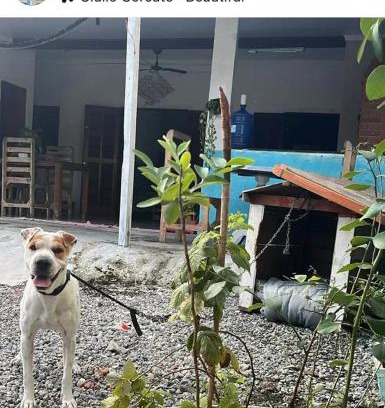 Jardim Mar e Ceu Apartamento | Casinha da Lolla