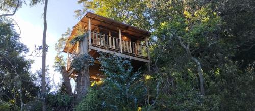 Zipaquira Apartamento | Casiopea Glamping