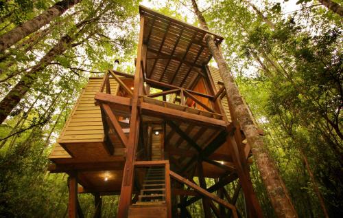 Futrono Casa | Casita Arbol