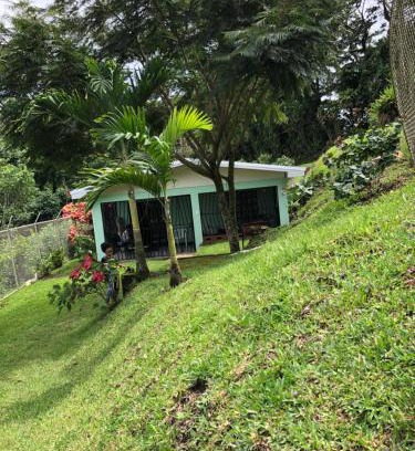 Quebrada Grande Apartamento | Casita Canto del Bosque Monteverde